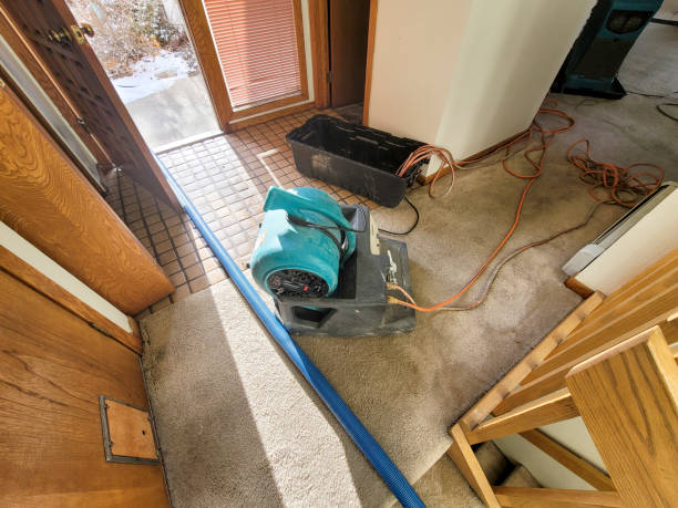 Trusted Pittsburgh, PA Water damage restoration Experts
