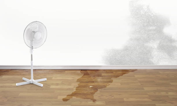 Best Mold removal after water damage  in Pittsburgh, PA