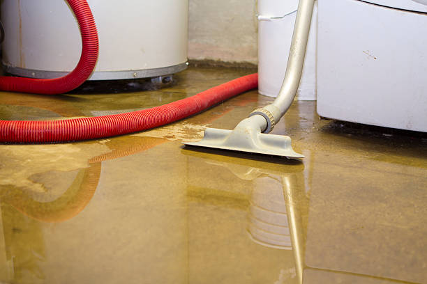 Best 24-hour water damage restoration  in Pittsburgh, PA