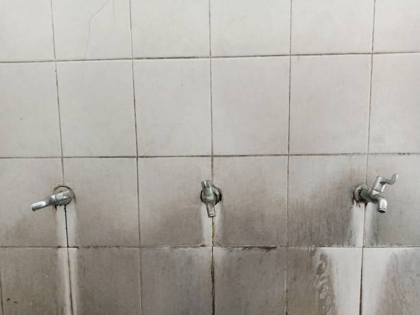 Best Flood restoration services  in Pittsburgh, PA