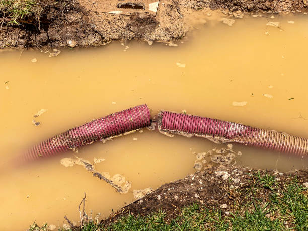 Best Water damage mitigation services  in Pittsburgh, PA