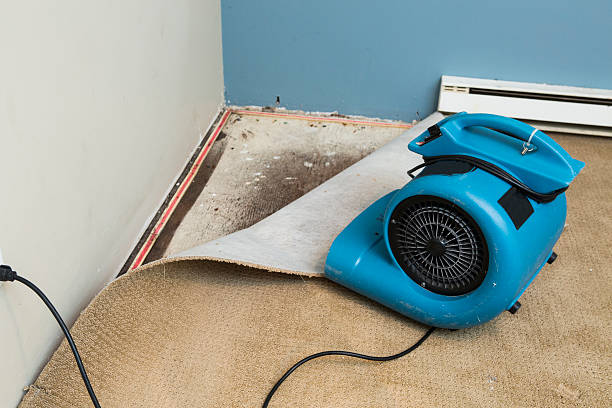 Best Water damage contractors near me  in Pittsburgh, PA